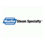 Mueller Steam